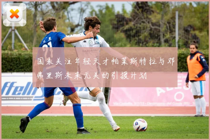 国米关注年轻天才帕莱斯特拉与邓弗里斯未来无关的引援计划