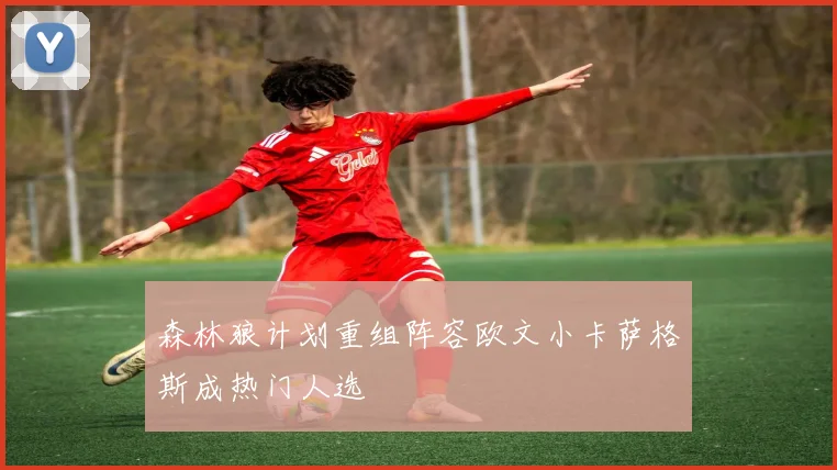 森林狼计划重组阵容欧文小卡萨格斯成热门人选