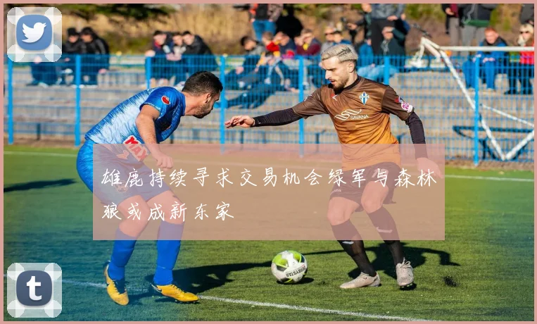 雄鹿持续寻求交易机会绿军与森林狼或成新东家
