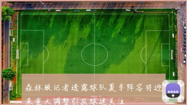 森林狼记者透露球队夏季阵容将迎来重大调整引发球迷关注